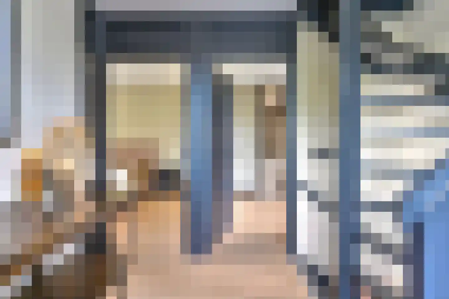 Grijze Kraai 46 Emmen thumbnail 48