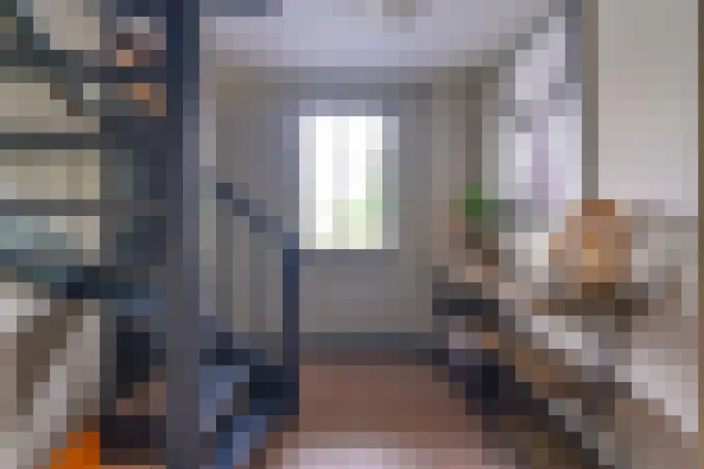 Grijze Kraai 46 Emmen thumbnail 49