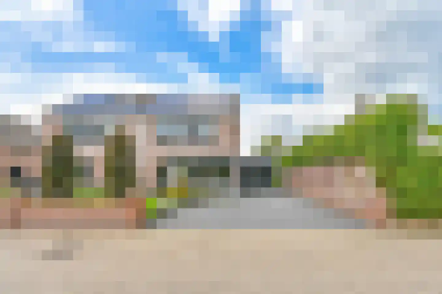 Grijze Kraai 46 Emmen thumbnail 5