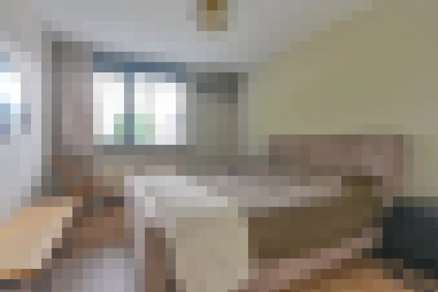 Grijze Kraai 46 Emmen thumbnail 51