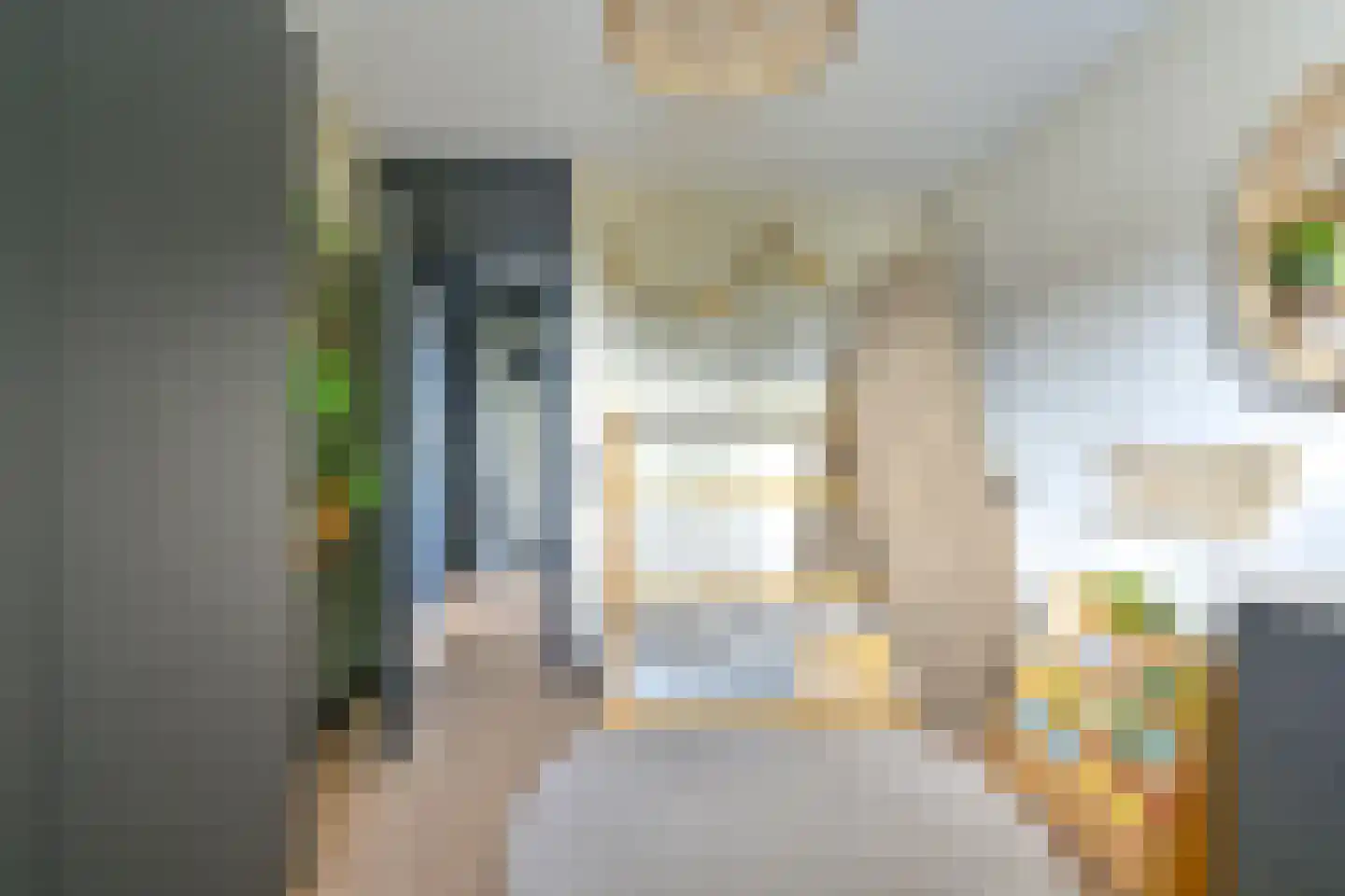 Grijze Kraai 46 Emmen thumbnail 58