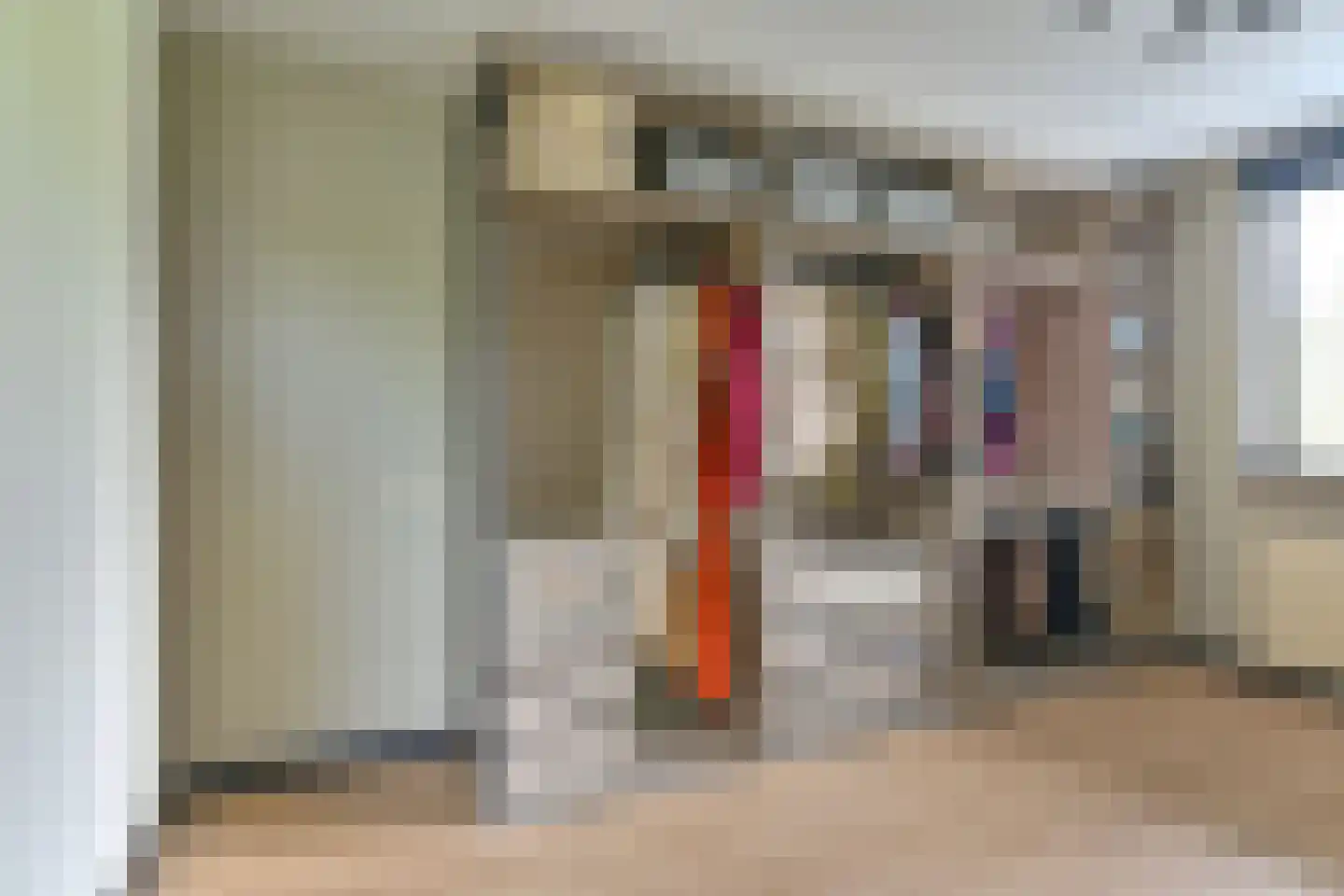 Grijze Kraai 46 Emmen thumbnail 60