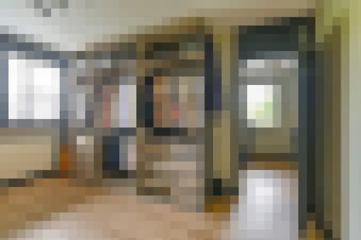 Grijze Kraai 46 Emmen thumbnail 63