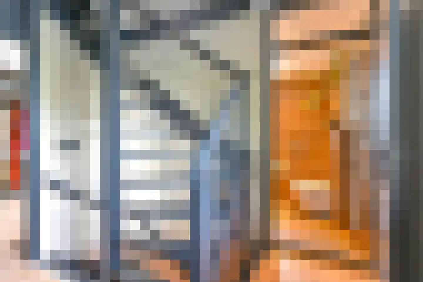 Grijze Kraai 46 Emmen thumbnail 64