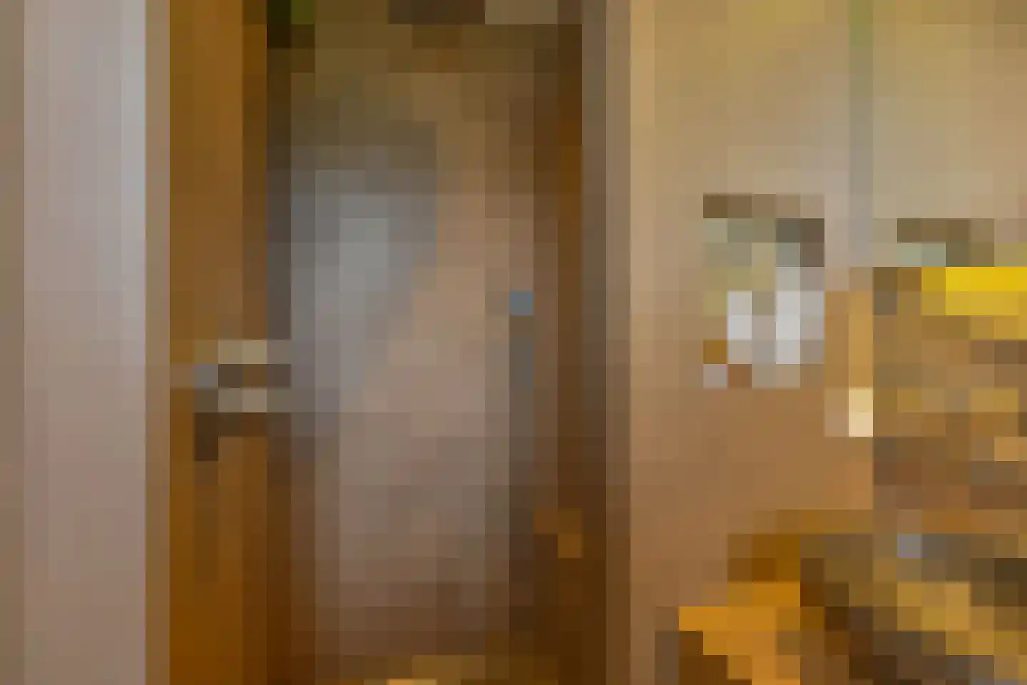 Grijze Kraai 46 Emmen thumbnail 69