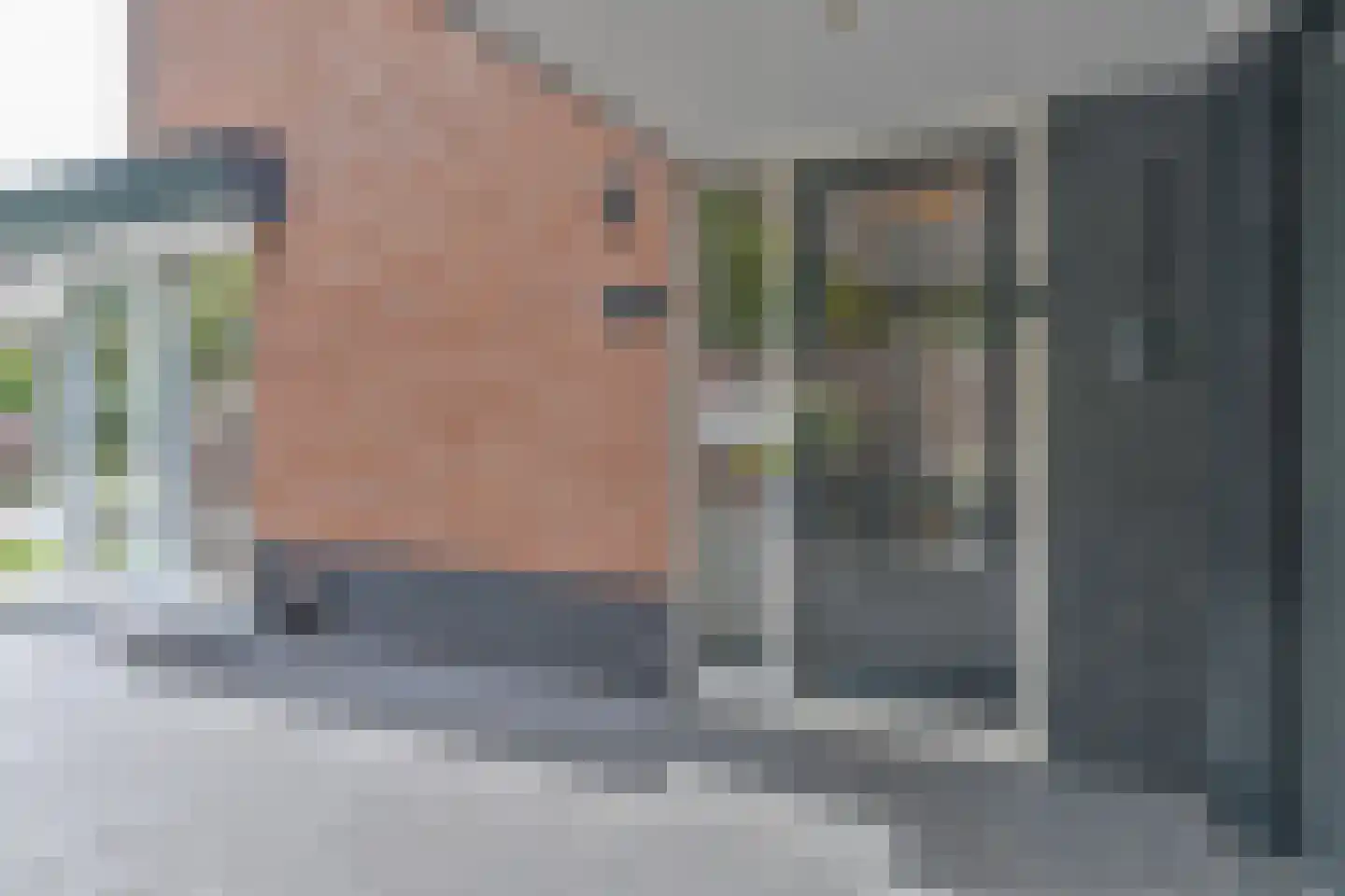 Grijze Kraai 46 Emmen thumbnail 7