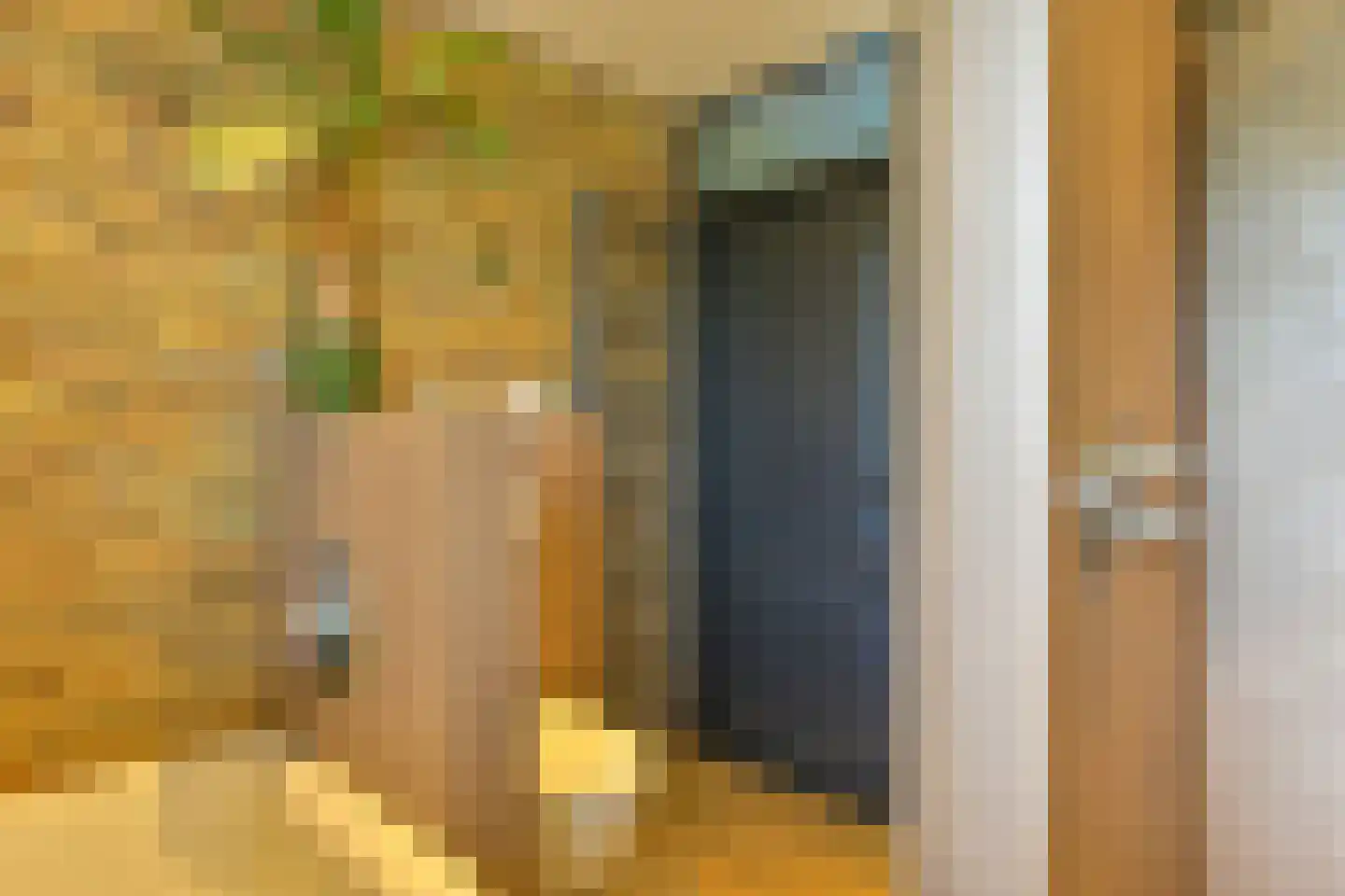 Grijze Kraai 46 Emmen thumbnail 71