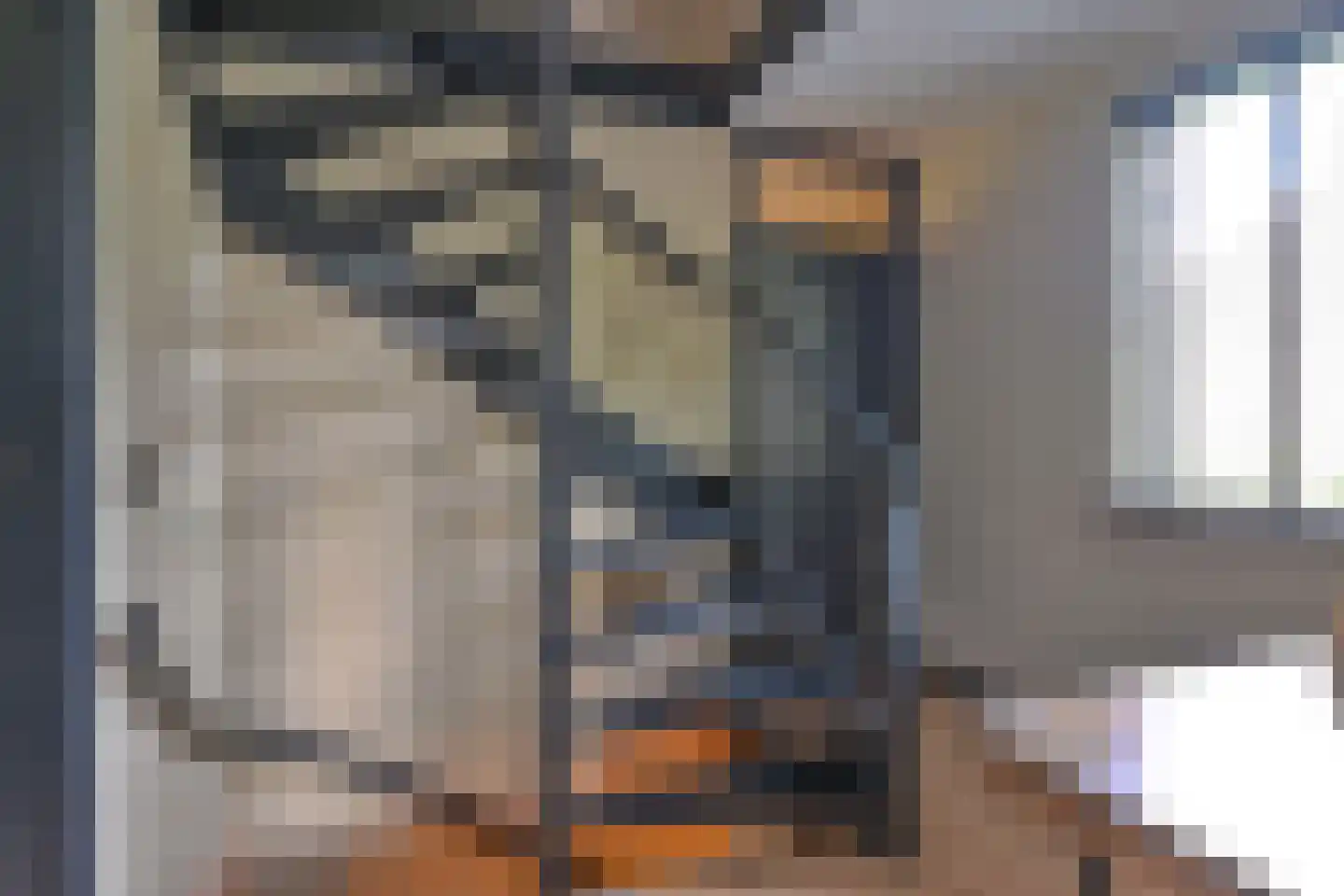 Grijze Kraai 46 Emmen thumbnail 72