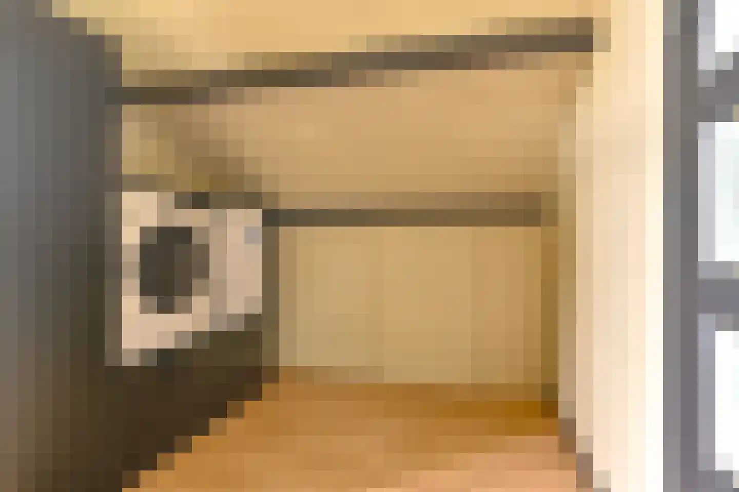 Grijze Kraai 46 Emmen thumbnail 73