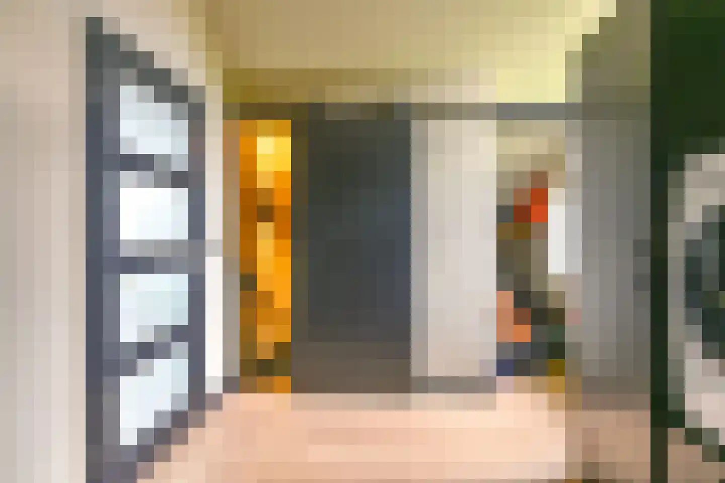 Grijze Kraai 46 Emmen thumbnail 75