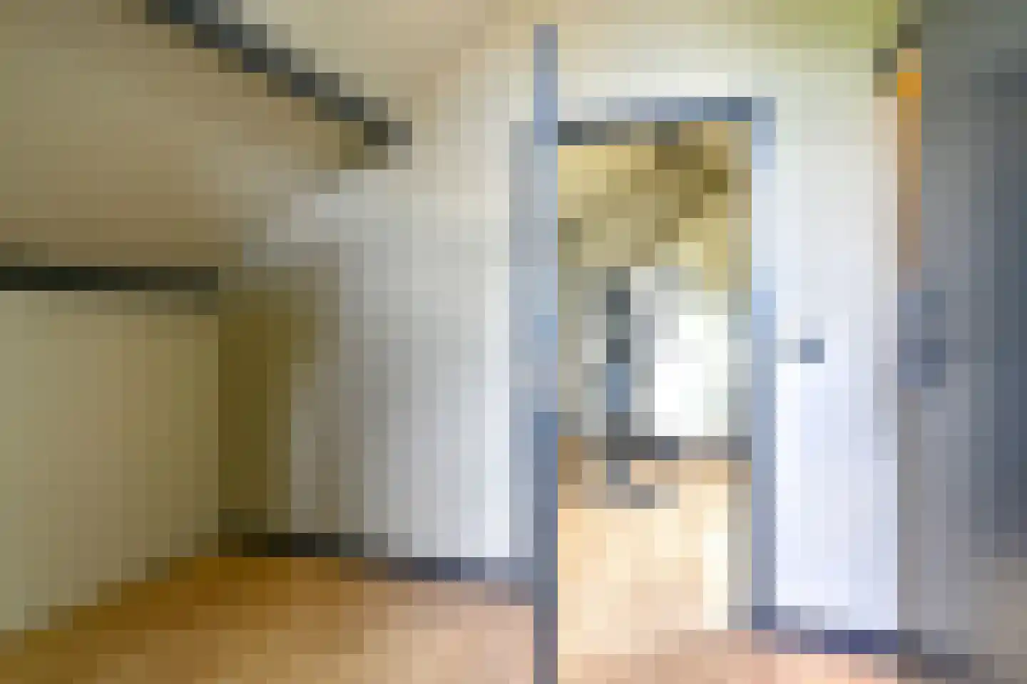 Grijze Kraai 46 Emmen thumbnail 76