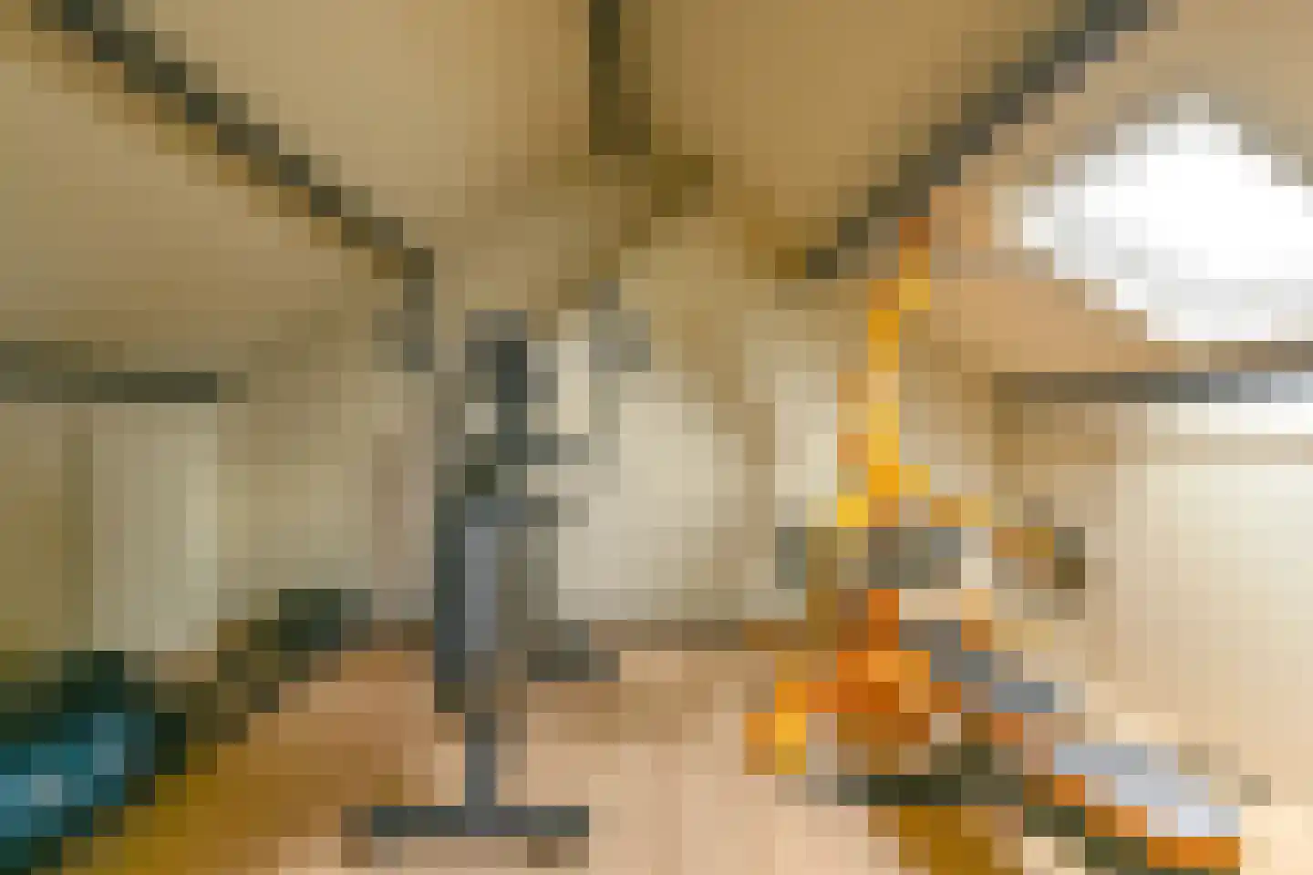 Grijze Kraai 46 Emmen thumbnail 77