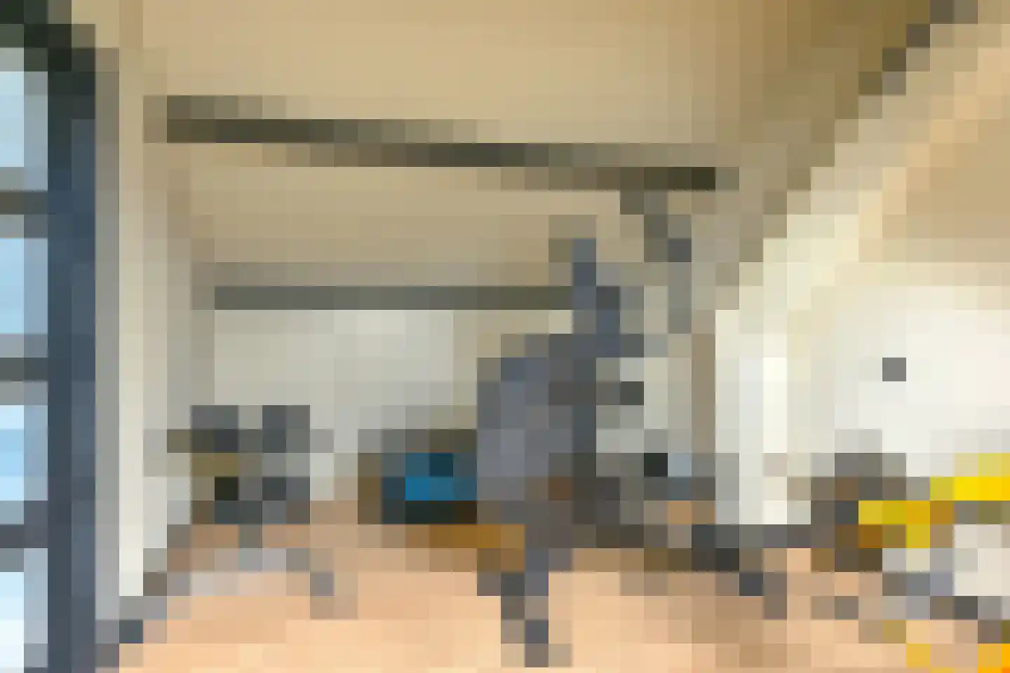 Grijze Kraai 46 Emmen thumbnail 78