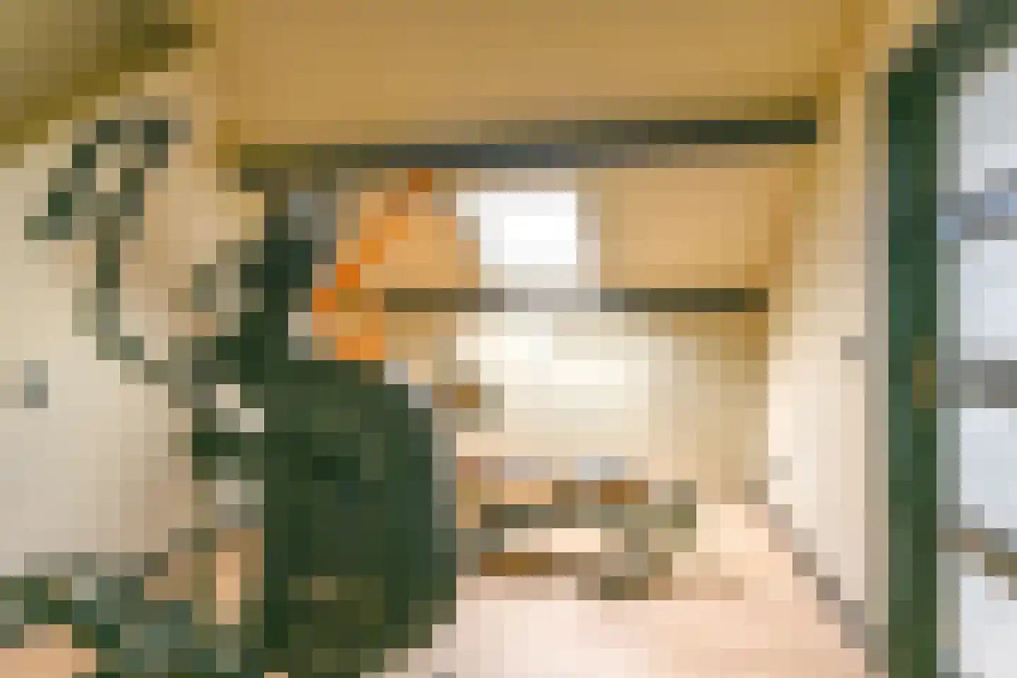Grijze Kraai 46 Emmen thumbnail 79