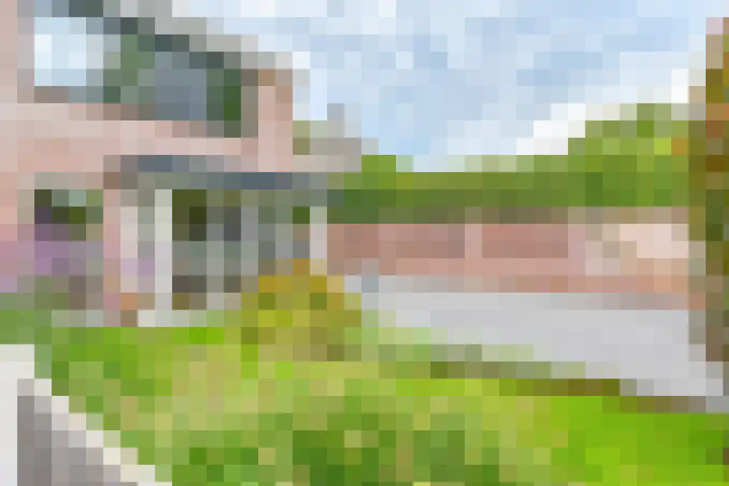 Grijze Kraai 46 Emmen thumbnail 80