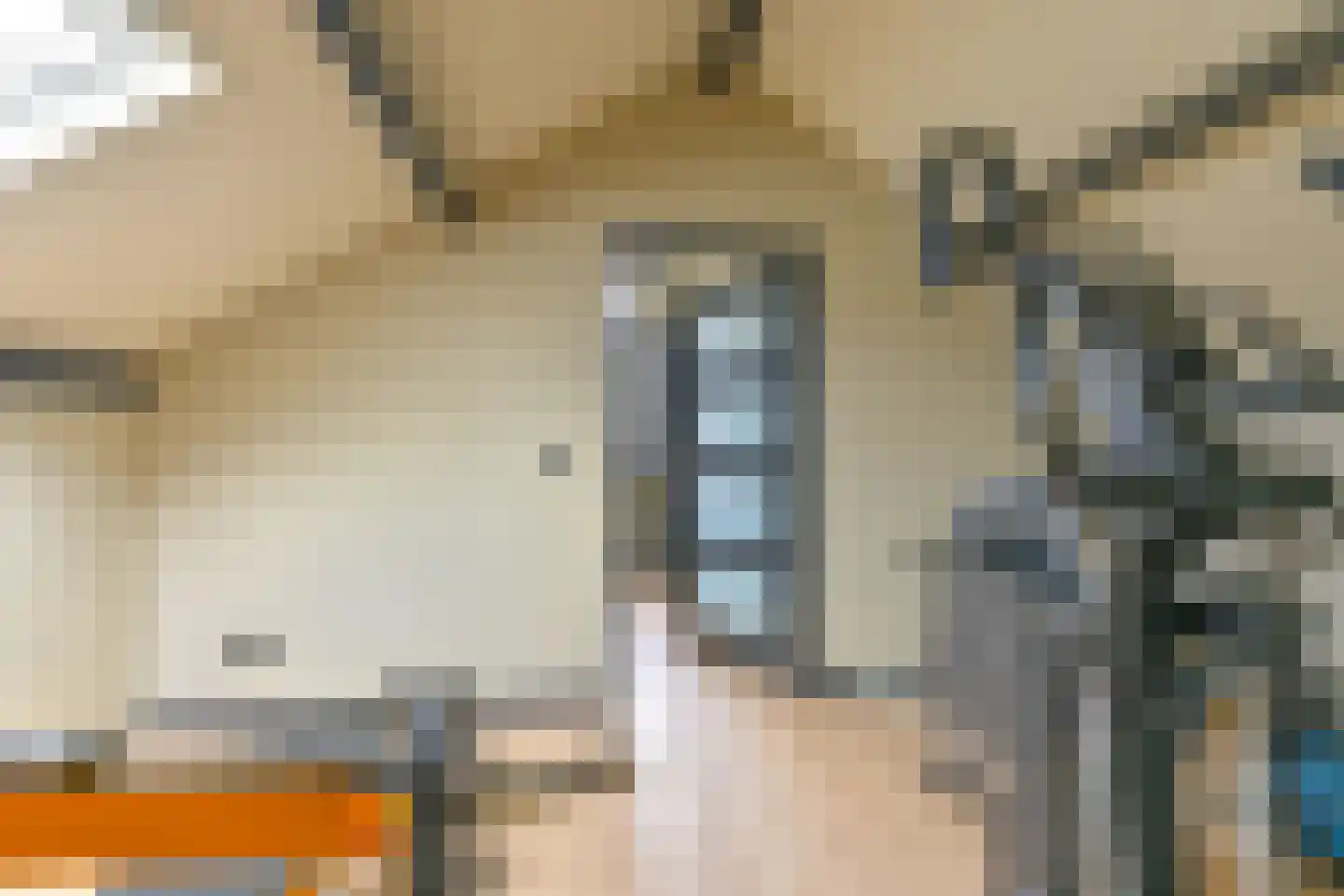 Grijze Kraai 46 Emmen thumbnail 81