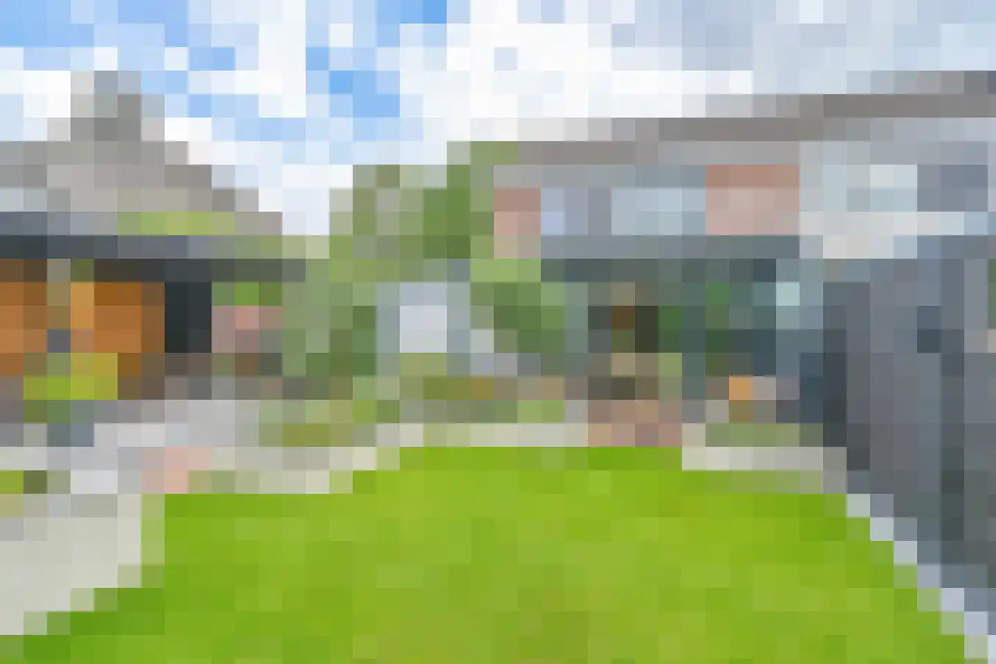 Grijze Kraai 46 Emmen thumbnail 82