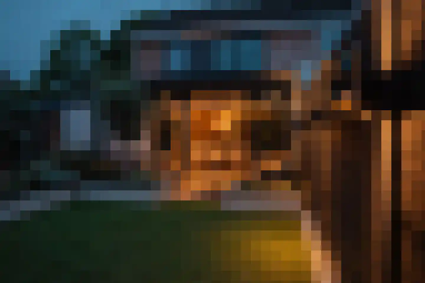 Grijze Kraai 46 Emmen thumbnail 83