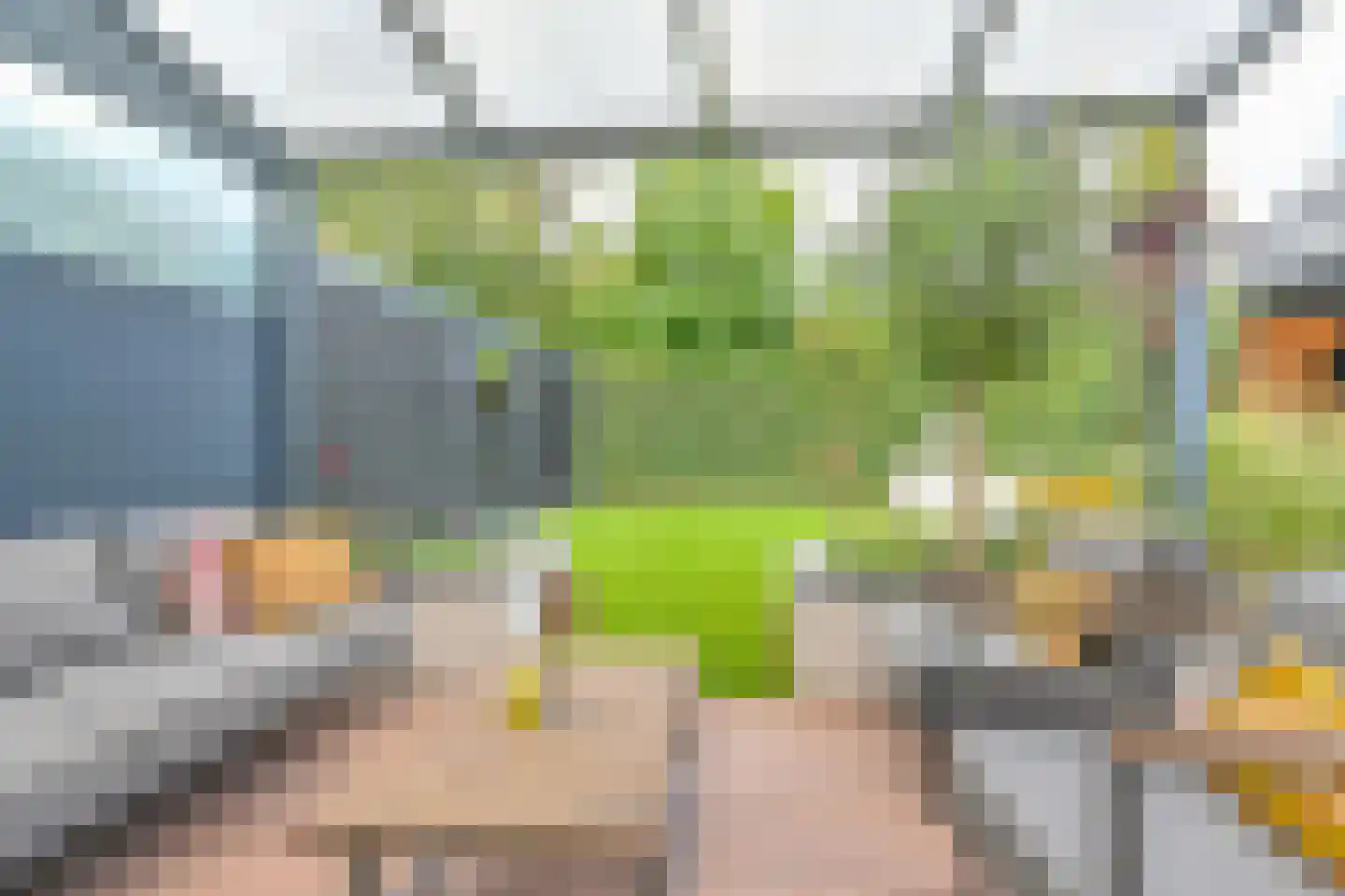 Grijze Kraai 46 Emmen thumbnail 84