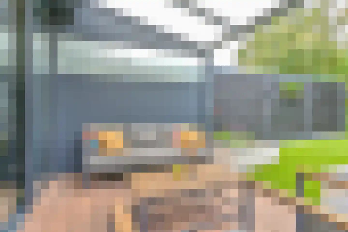 Grijze Kraai 46 Emmen thumbnail 85