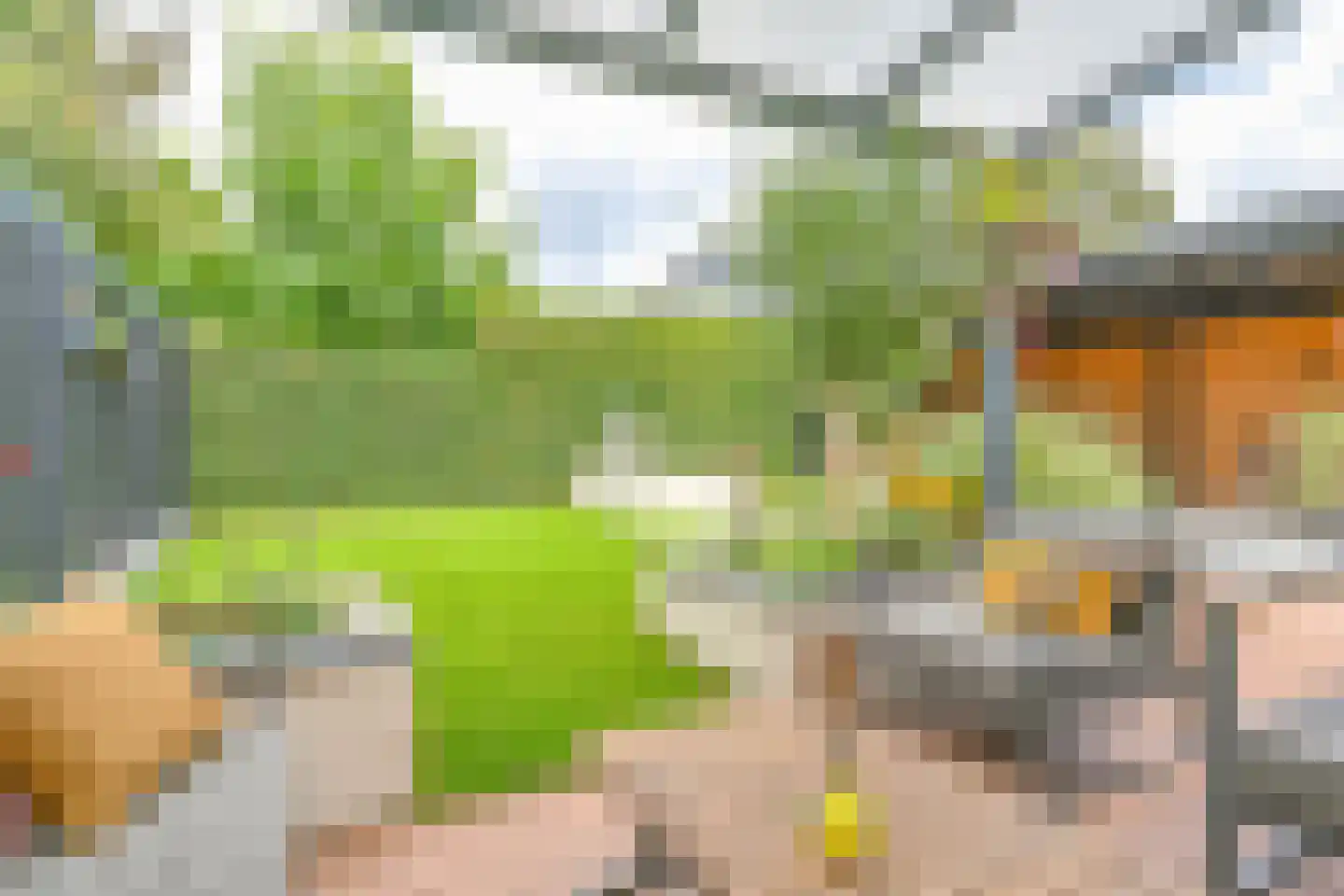 Grijze Kraai 46 Emmen thumbnail 86
