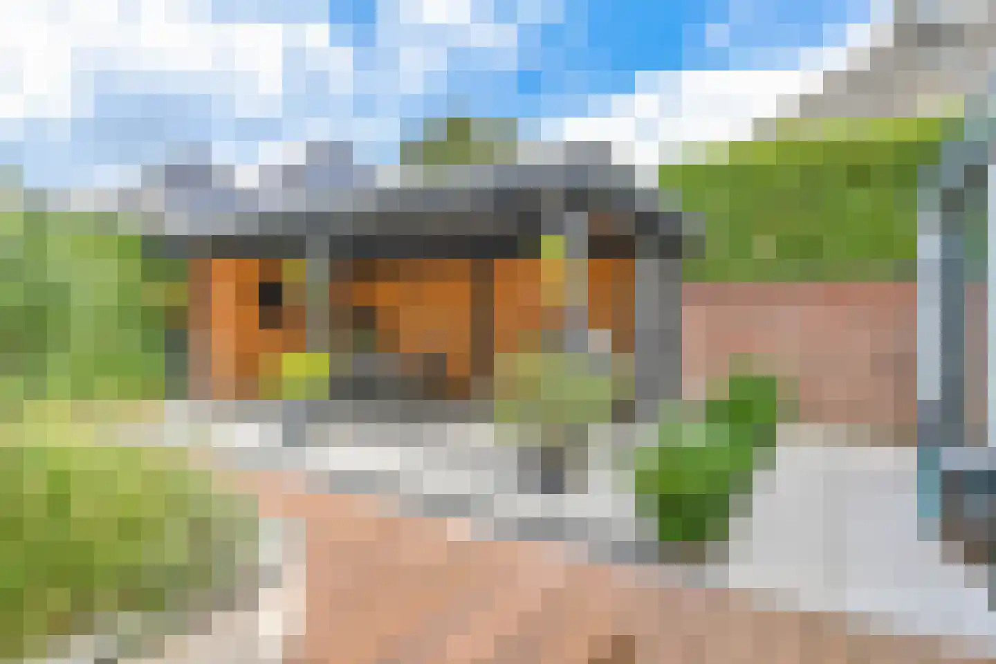 Grijze Kraai 46 Emmen thumbnail 88