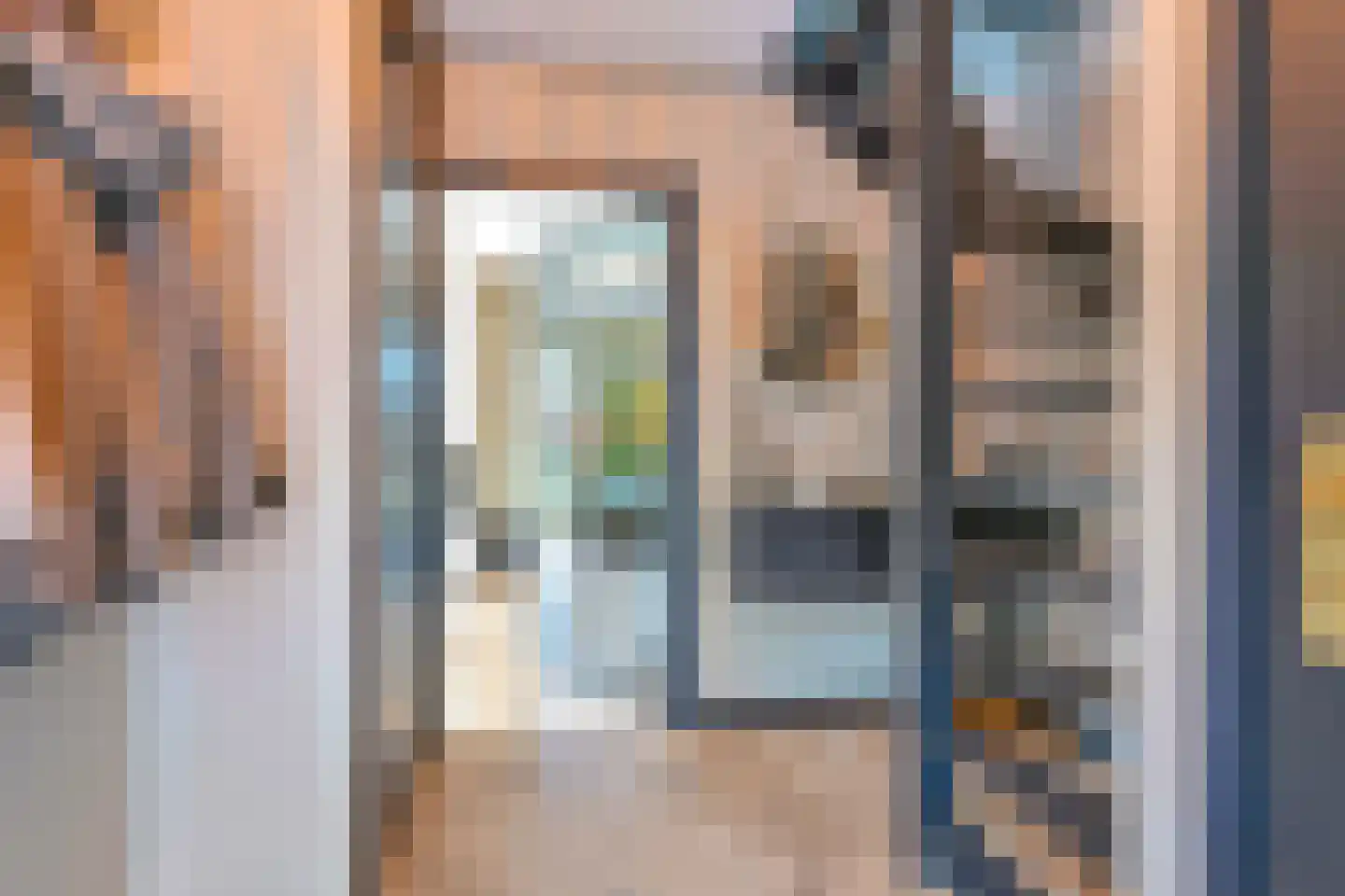 Grijze Kraai 46 Emmen thumbnail 9