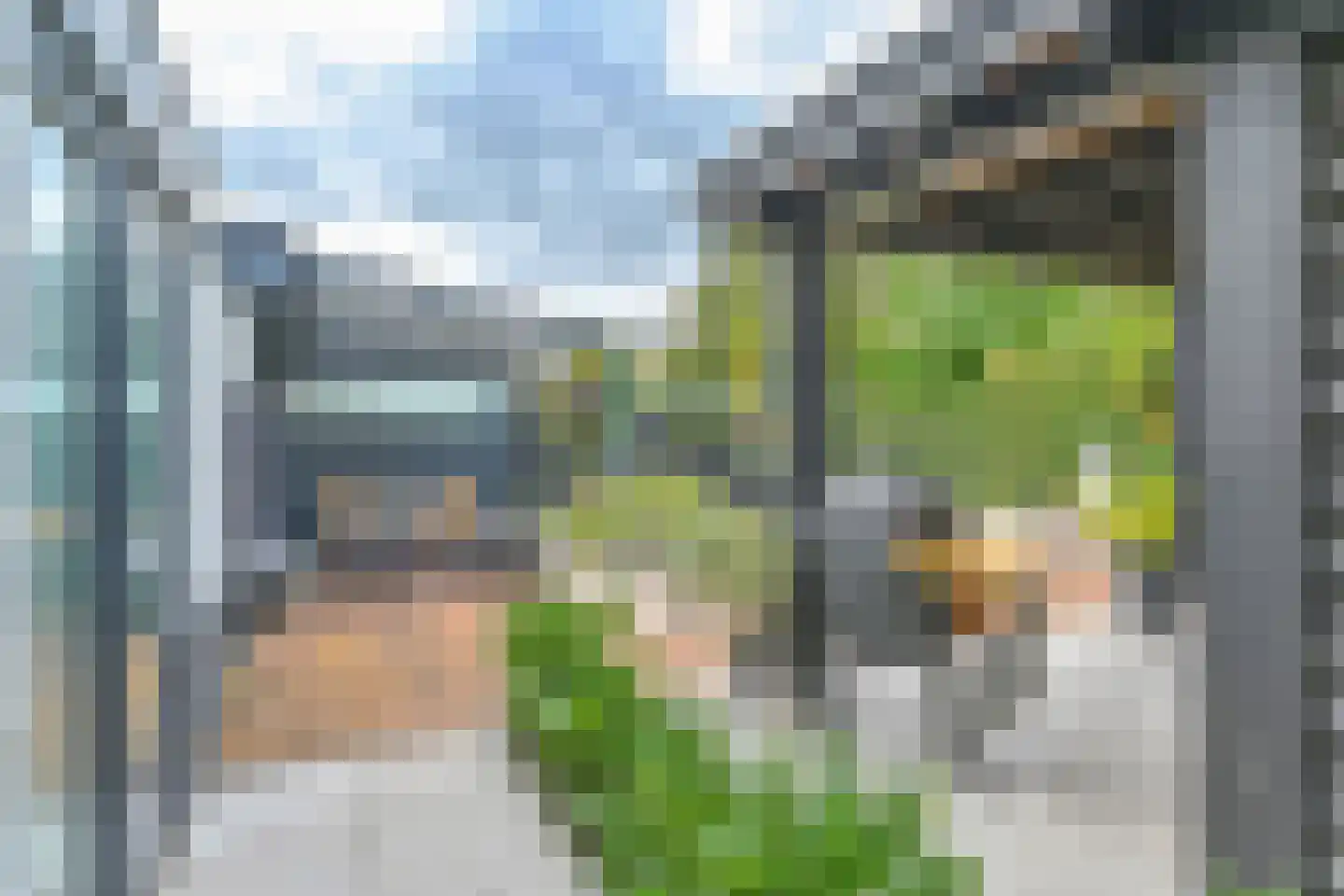 Grijze Kraai 46 Emmen thumbnail 90