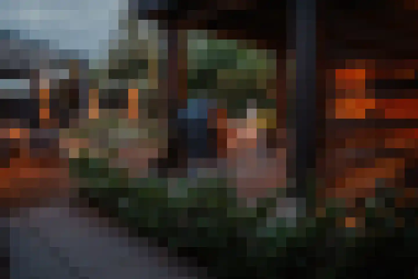 Grijze Kraai 46 Emmen thumbnail 91