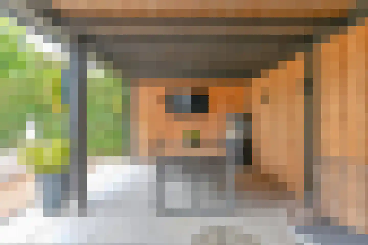 Grijze Kraai 46 Emmen thumbnail 92