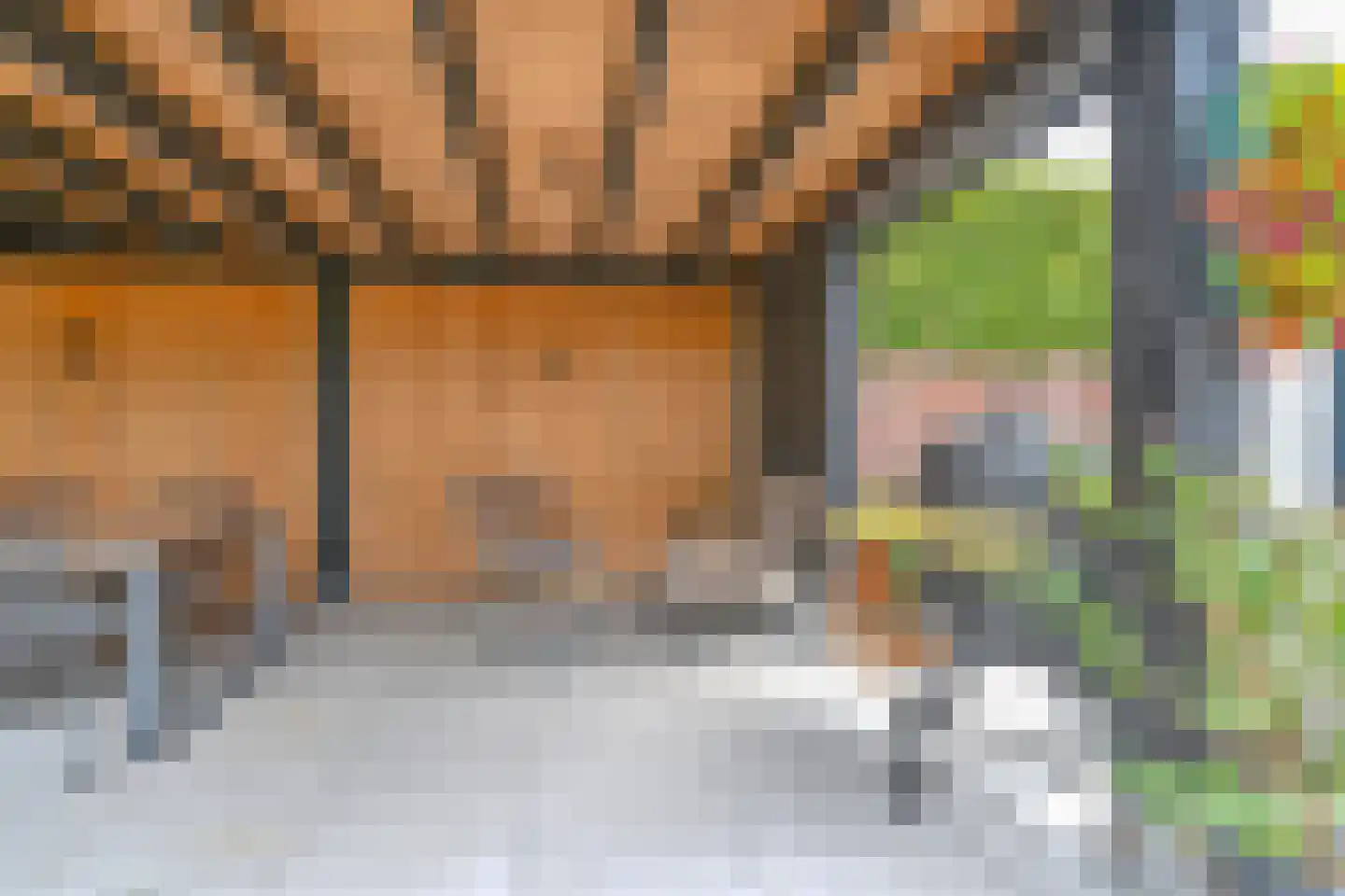 Grijze Kraai 46 Emmen thumbnail 93