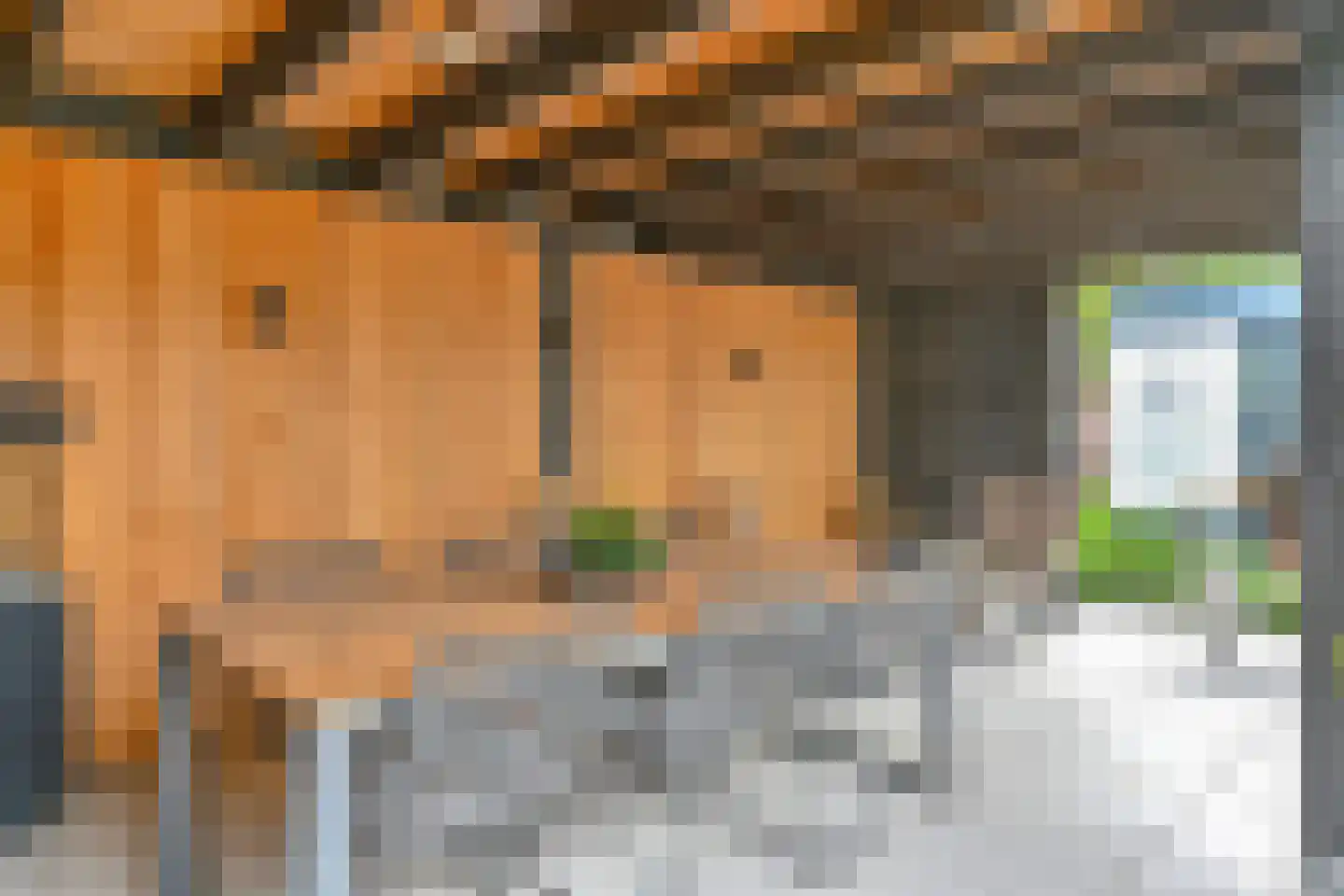 Grijze Kraai 46 Emmen thumbnail 95