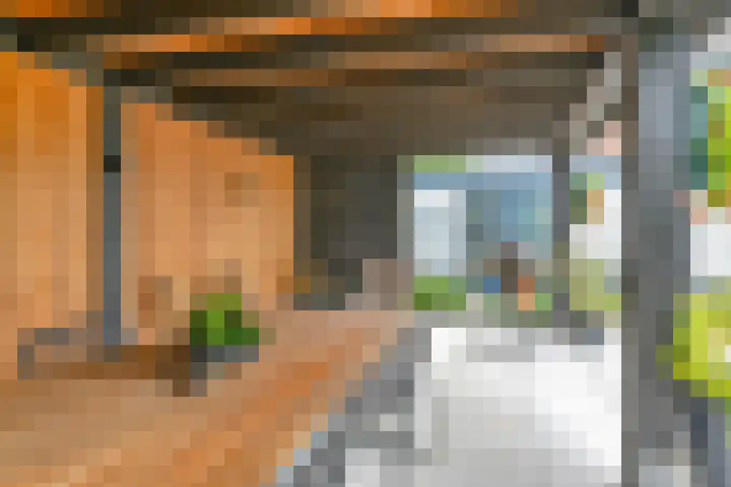 Grijze Kraai 46 Emmen thumbnail 96