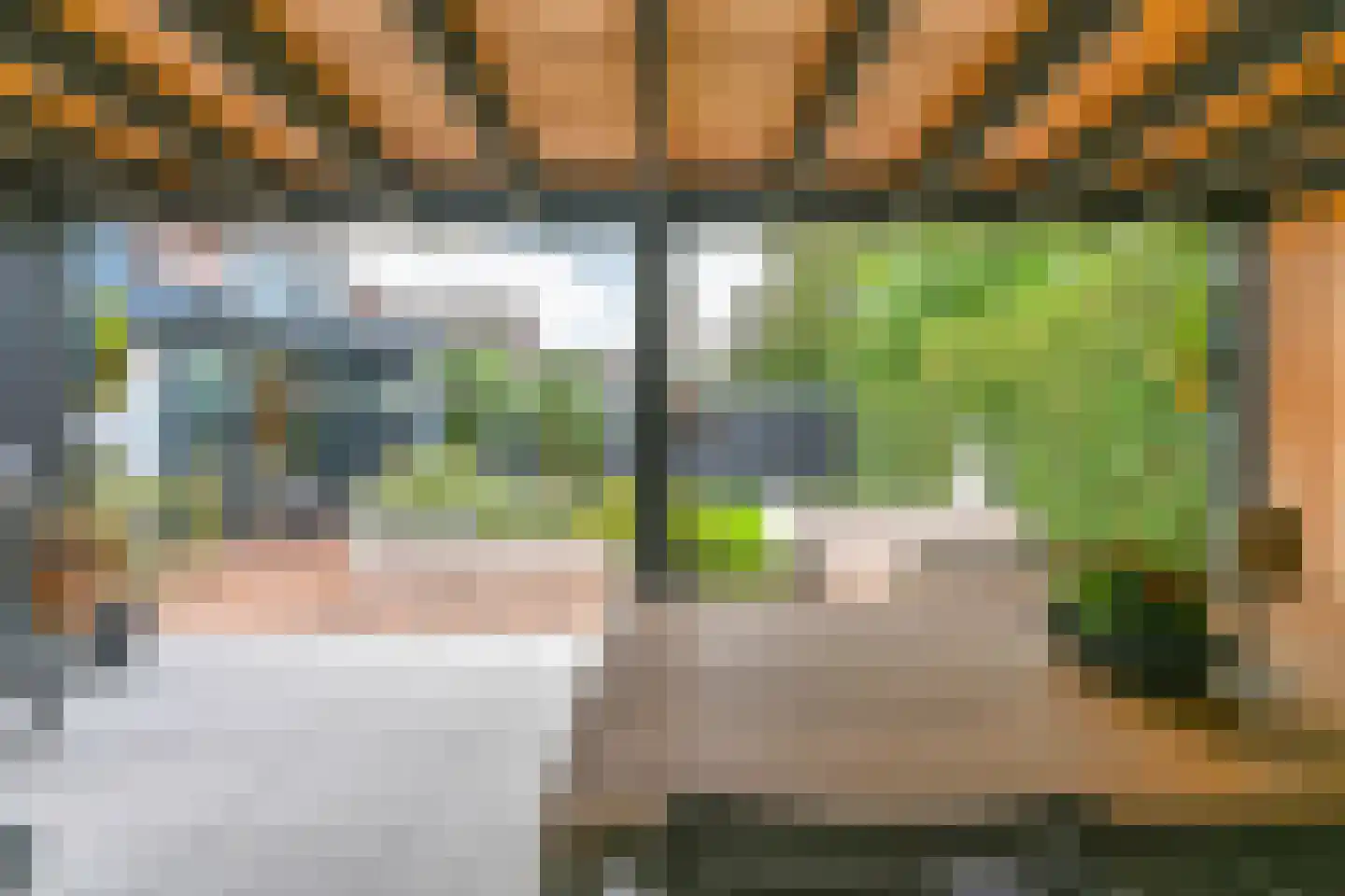 Grijze Kraai 46 Emmen thumbnail 98