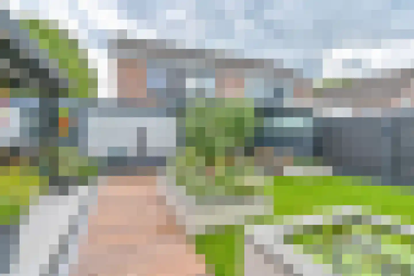 Grijze Kraai 46 Emmen thumbnail 99