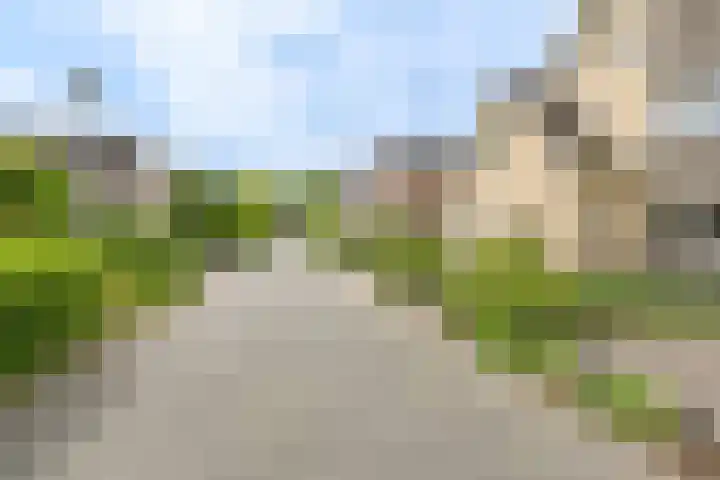 Grijze Snip 24 Emmen thumbnail 10