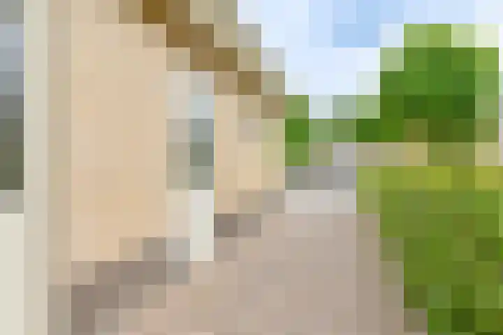 Grijze Snip 24 Emmen thumbnail 100