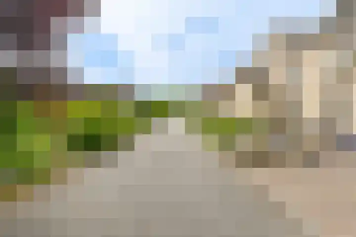 Grijze Snip 24 Emmen thumbnail 11