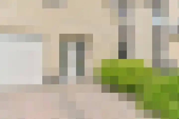 Grijze Snip 24 Emmen thumbnail 12
