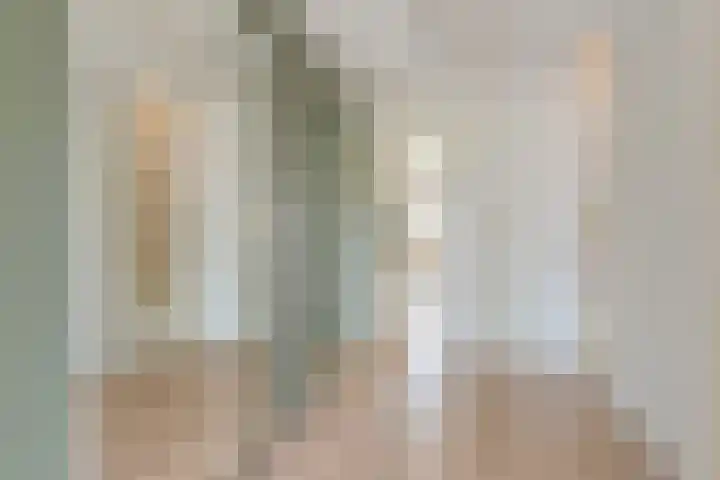 Grijze Snip 24 Emmen thumbnail 14