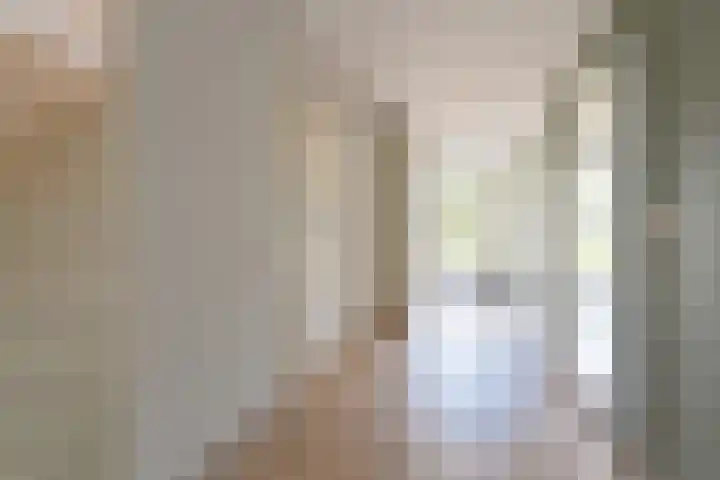 Grijze Snip 24 Emmen thumbnail 15
