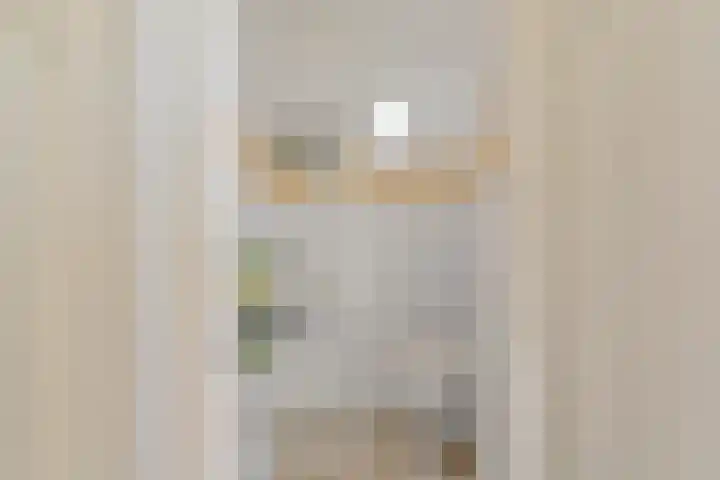 Grijze Snip 24 Emmen thumbnail 16