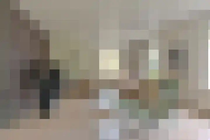 Grijze Snip 24 Emmen thumbnail 17