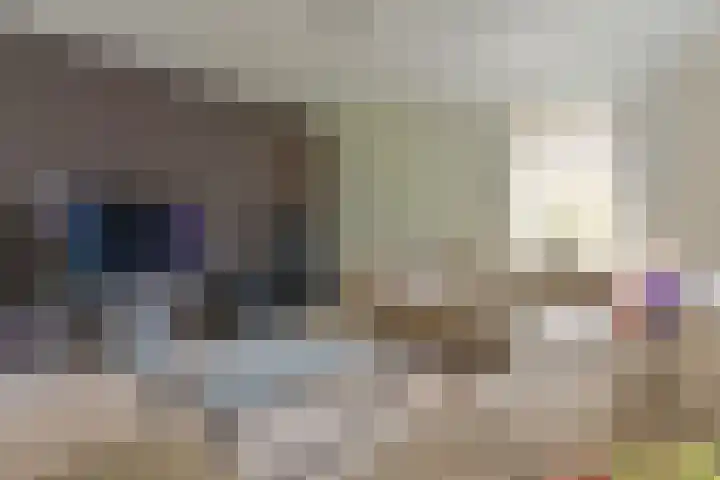 Grijze Snip 24 Emmen thumbnail 18