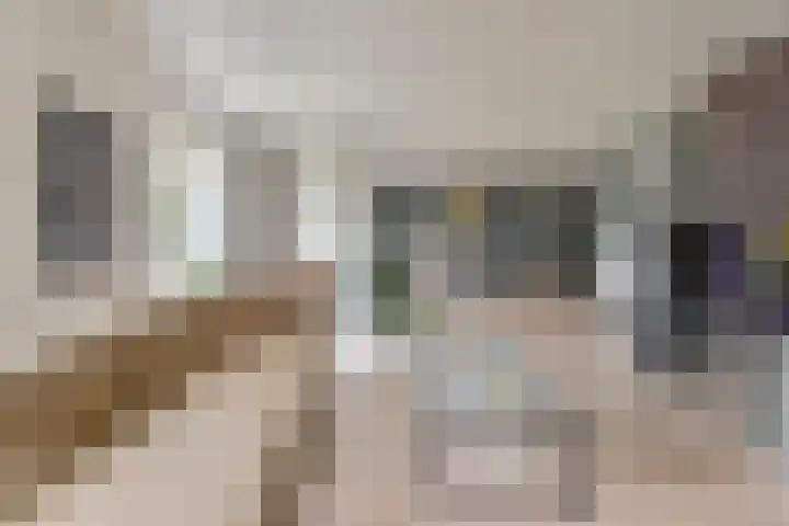 Grijze Snip 24 Emmen thumbnail 20