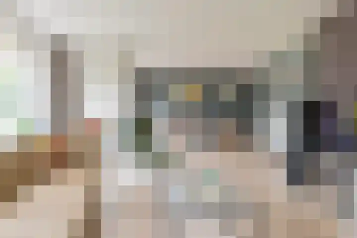Grijze Snip 24 Emmen thumbnail 21