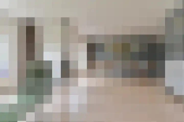 Grijze Snip 24 Emmen thumbnail 22