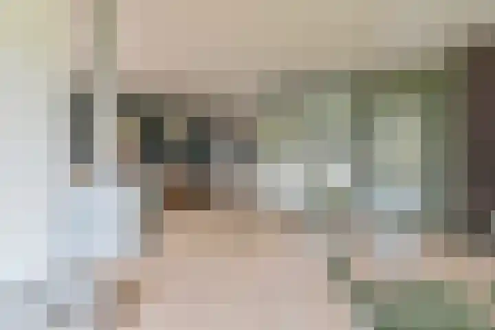 Grijze Snip 24 Emmen thumbnail 23