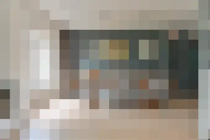 Grijze Snip 24 Emmen thumbnail 25