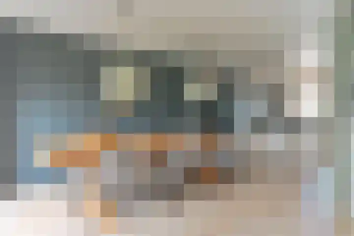 Grijze Snip 24 Emmen thumbnail 26